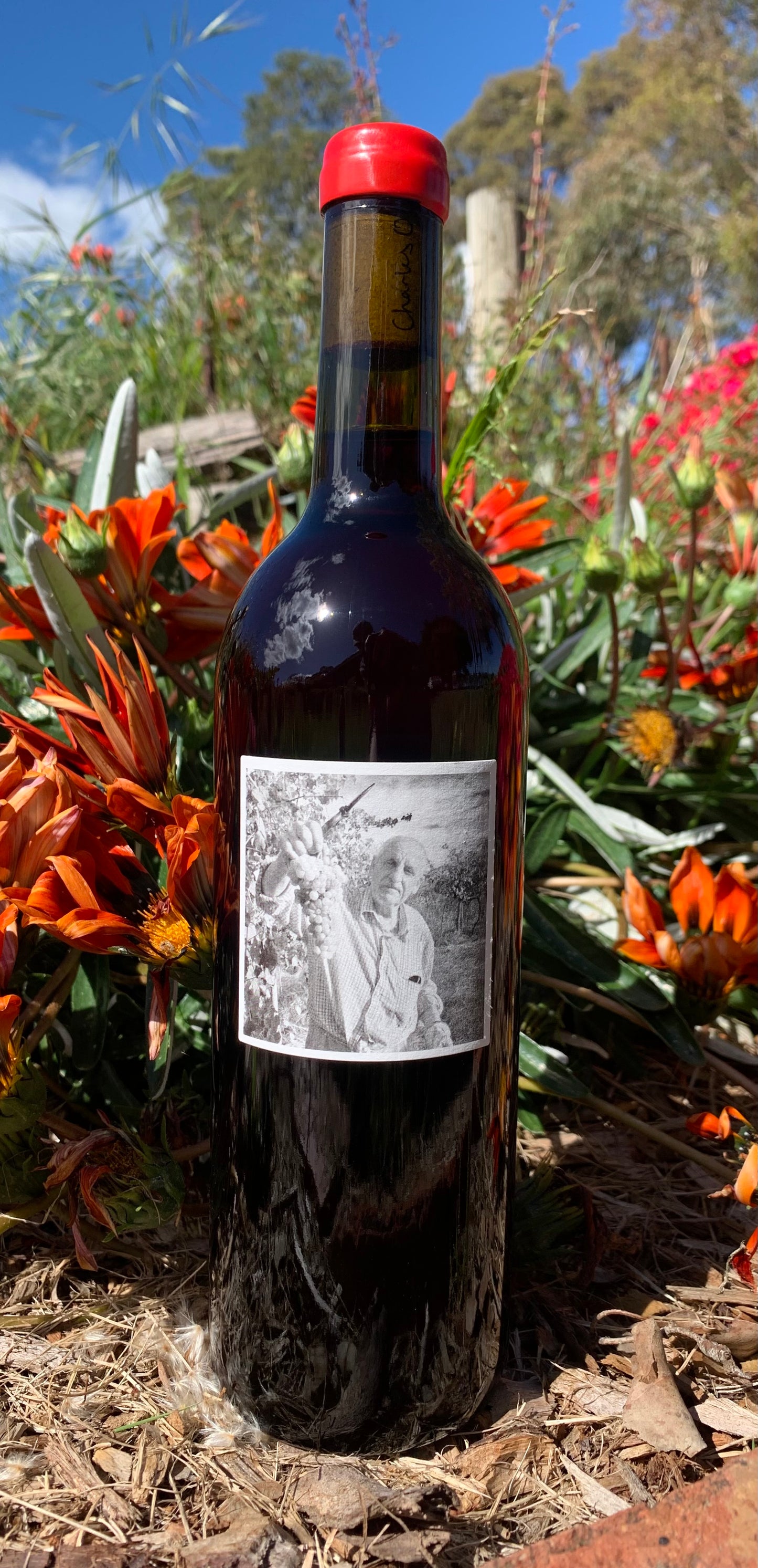 2022 Cuvée Landucci Rosso