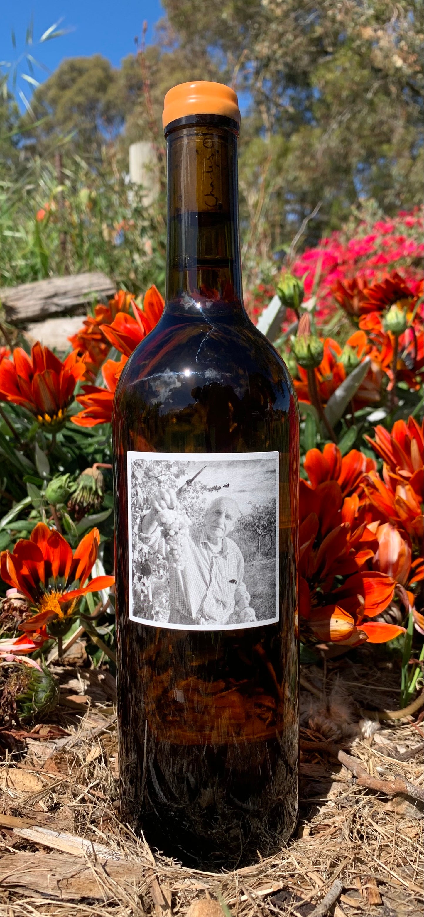 2023 Cuvée Landucci Rosé